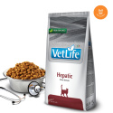 Farmina Vet Life Hepatic Feline Formula – karma sucha dla kota 2 kg