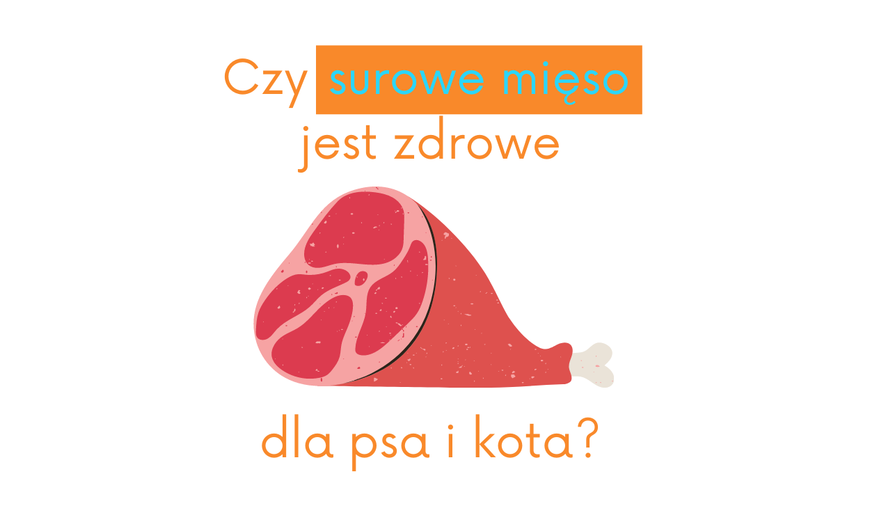 Czy SUROWE mięso jest zdrowe dla psa lub kota?